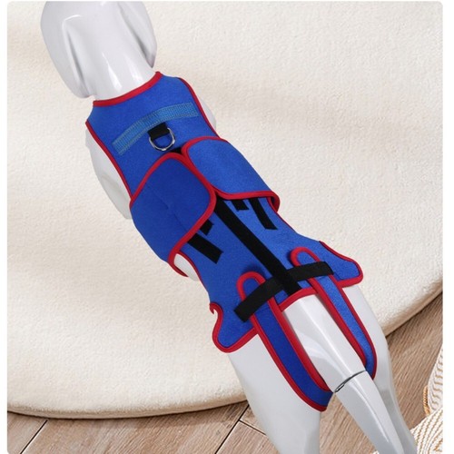 Blue dog back brace - brace,
