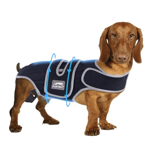Dog brace for ivdd joint - for,