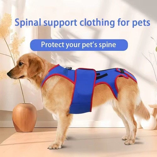 Blue dog back brace for - for,