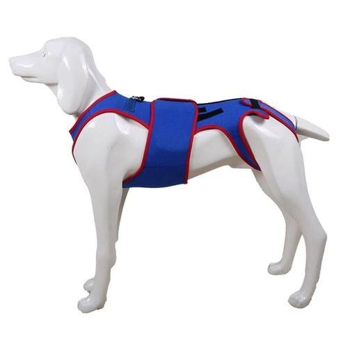 New blue dog back brace - blue, for