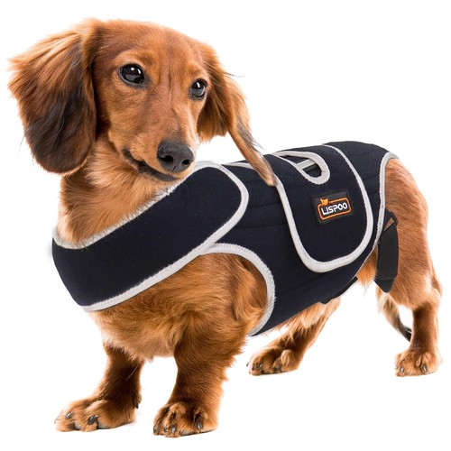 Dog back brace ivdd - back, spinal