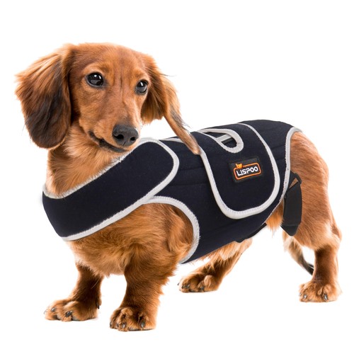 Rixbeo ivdd dog back brace - ivdd,