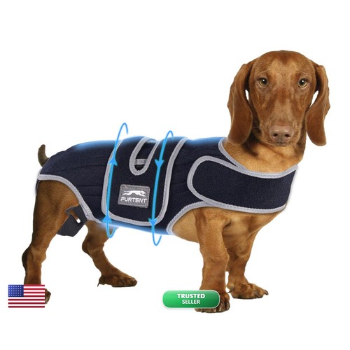 Dog back brace furtent small - dog,
