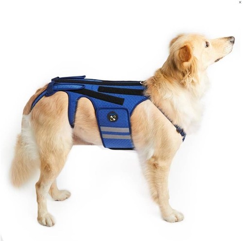 Coodeo small dog back - coodeo, brace