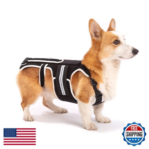 Lufelux back brace for - lufelux,