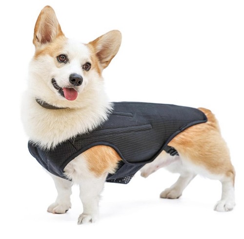 Doglemi ivdd back support vest - doglemi,