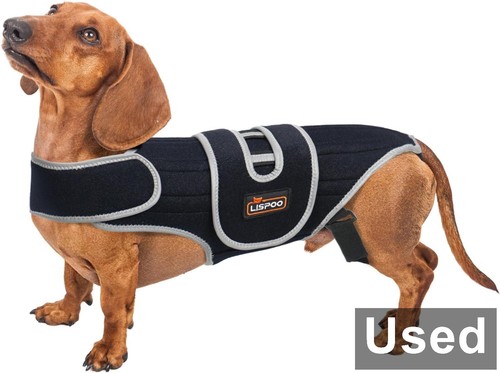Tipoop d0053 dog - d0053-m,