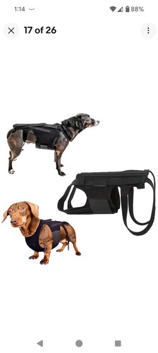 Dog back brace - , for